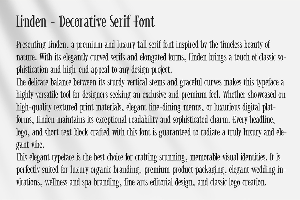 Linden - Elegant Decorative Serif, a Serif Font by OWPictures (Photo 8 of 9)