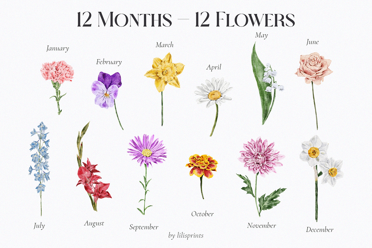 Watercolor Birth Month Flowers, an Illustration by lilisprints (Photo 2 of 5)