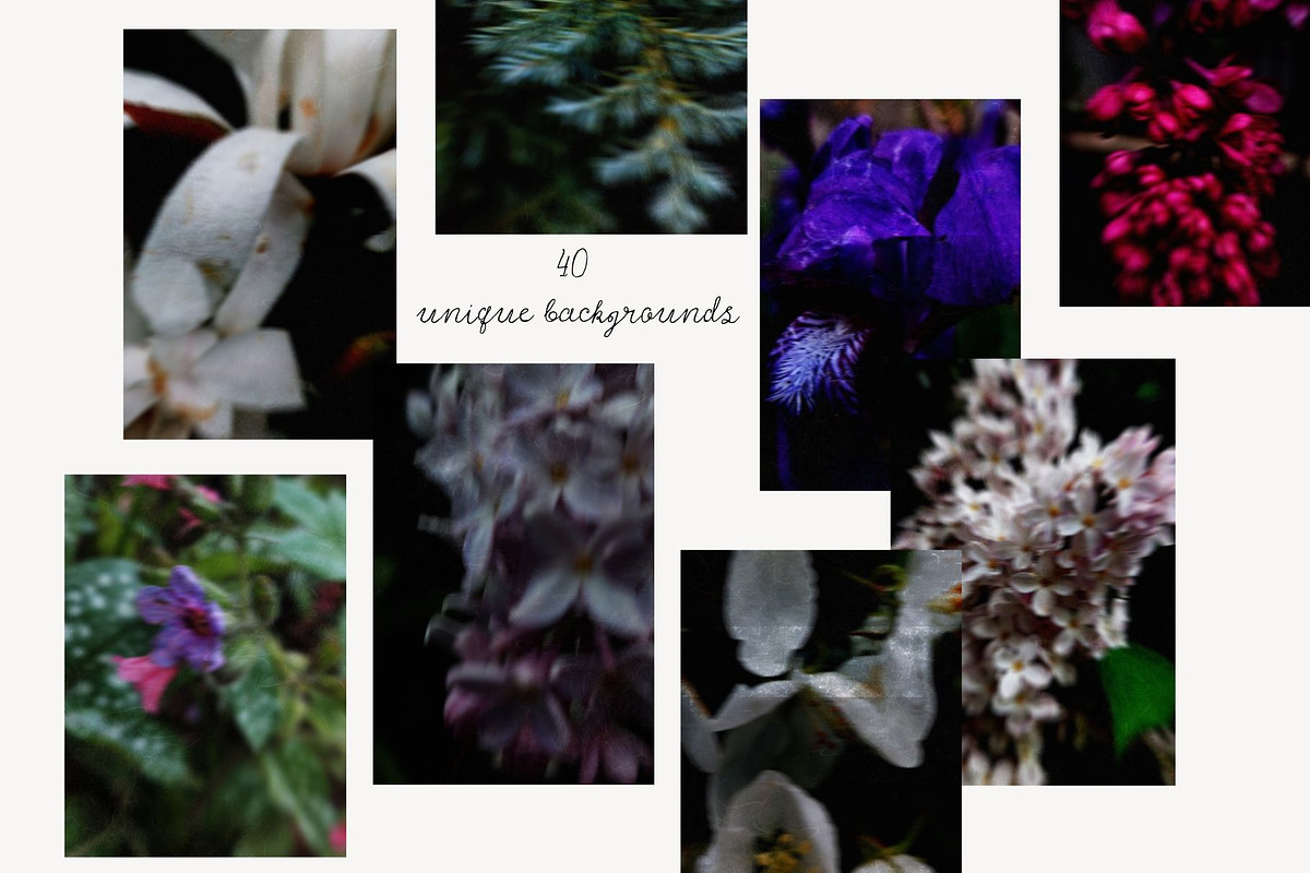 Dark bloom. Floral Backgrounds, a Background Graphic by PaperJamLab (Photo 2 of 14)