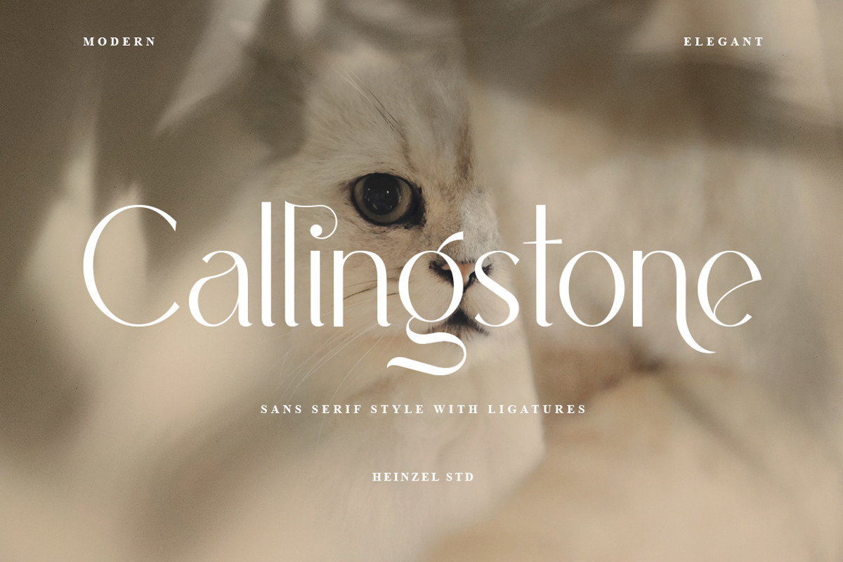 Callingstone Modern Sans Serif Font, a Sans Serif Font by Heinzel Std (Photo 1 of 9)