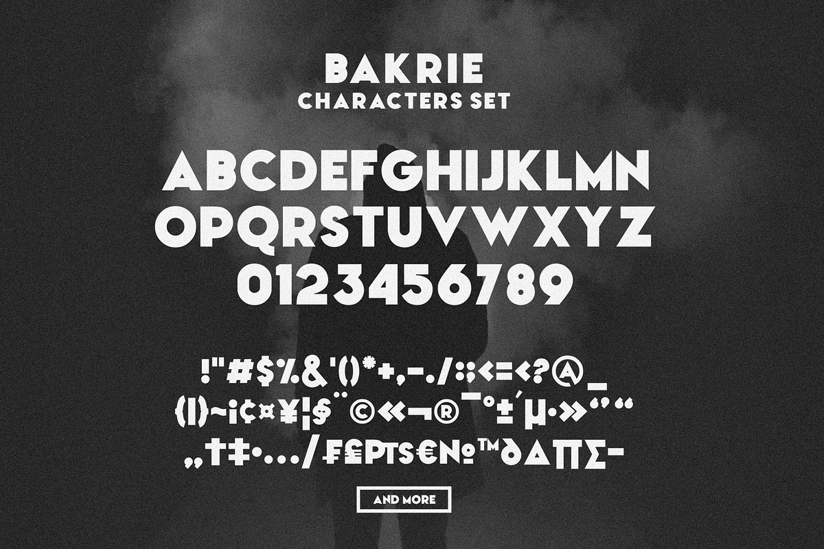 Bakrie | Stylish Bold Typeface preview 4