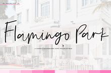 Flamingo Park + Bonus 10 Icons