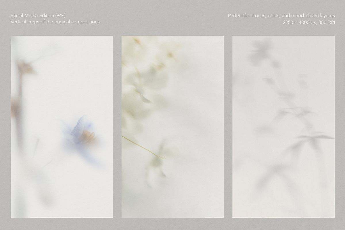Blur Botanical Vellum Backgrounds, a Background Graphic by alonahaidash (Photo 9 of 14)