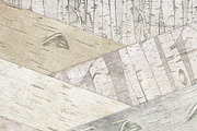 Birch Wood Background Images, a Pattern Graphic by Carrie Stephens Art (Thumbnail 3 of 6)