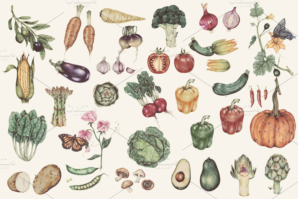 Illustration set of vegetables, a Food Illustration by rawpixel