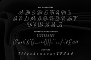 Handwritania - Elegant Signature, a Handwritten Font by Bluestype Studio (Thumbnail 9 of 10)
