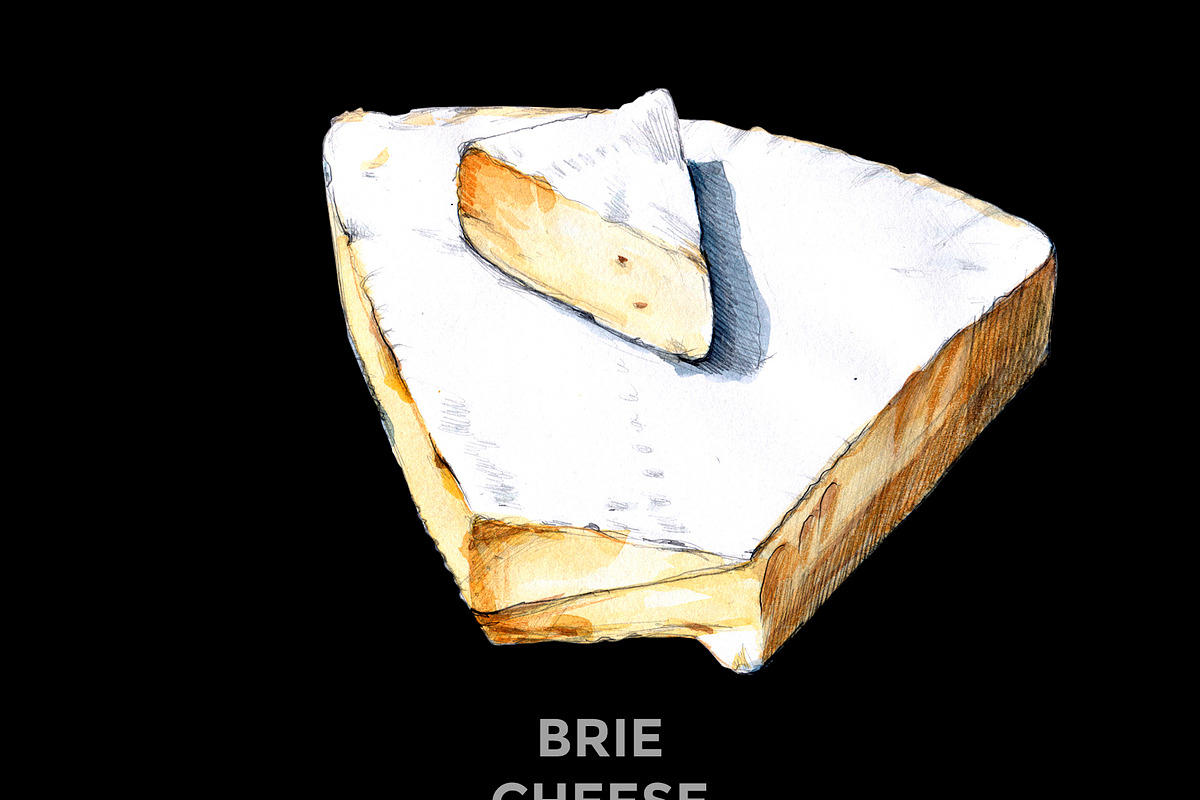 BRIE CAMEMBERT CHEESE WATERCOLOR, a Food Illustration by wedraw (Photo 3 of 7)