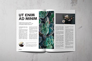 Magazine template, a Magazine Template by Alejik (Thumbnail 4 of 12)
