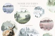 Woodland Babies Wild Animals Clipart, an Animal Illustration by whiteheartdesign (Thumbnail 20 of 28)