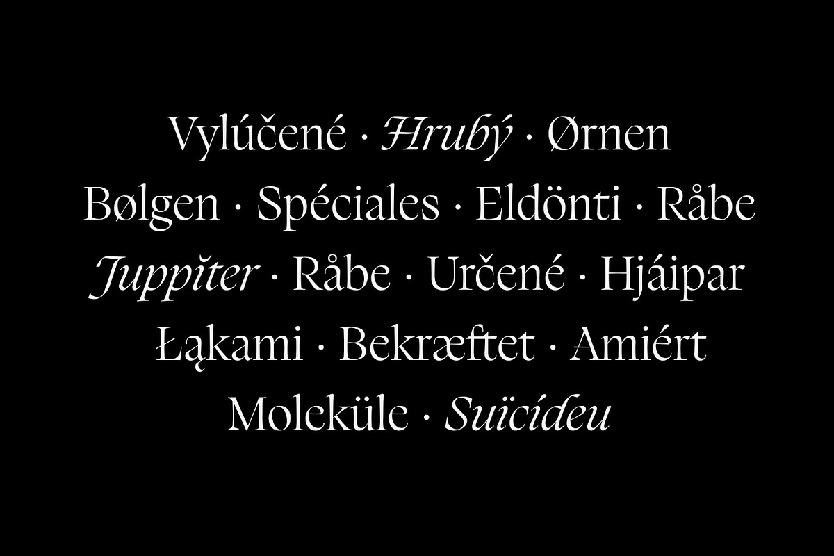 Silene - Elegant Serif Typeface, a Serif Font by Piotr Łapa (Photo 7 of 12)