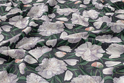 White Realistic Peonies Set, a Decorative Illustration by MarynaPetrovska (Thumbnail 5 of 16)
