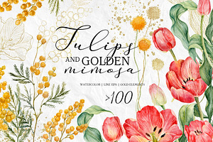 Watercolor spring tulips and mimosa.