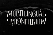 Elaphoras Display Serif Font, a Sans Serif Font by Storytype Studio (Thumbnail 15 of 18)