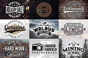 Vintage Vector Logo Kit, a Branding & Logo Template by Matt Borchert (Thumbnail 2 of 5)