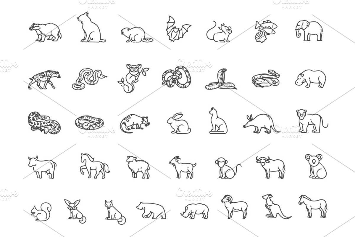 Line Animals Icons, an Animal Illustration by Tettygreen (Photo 1 of 3)