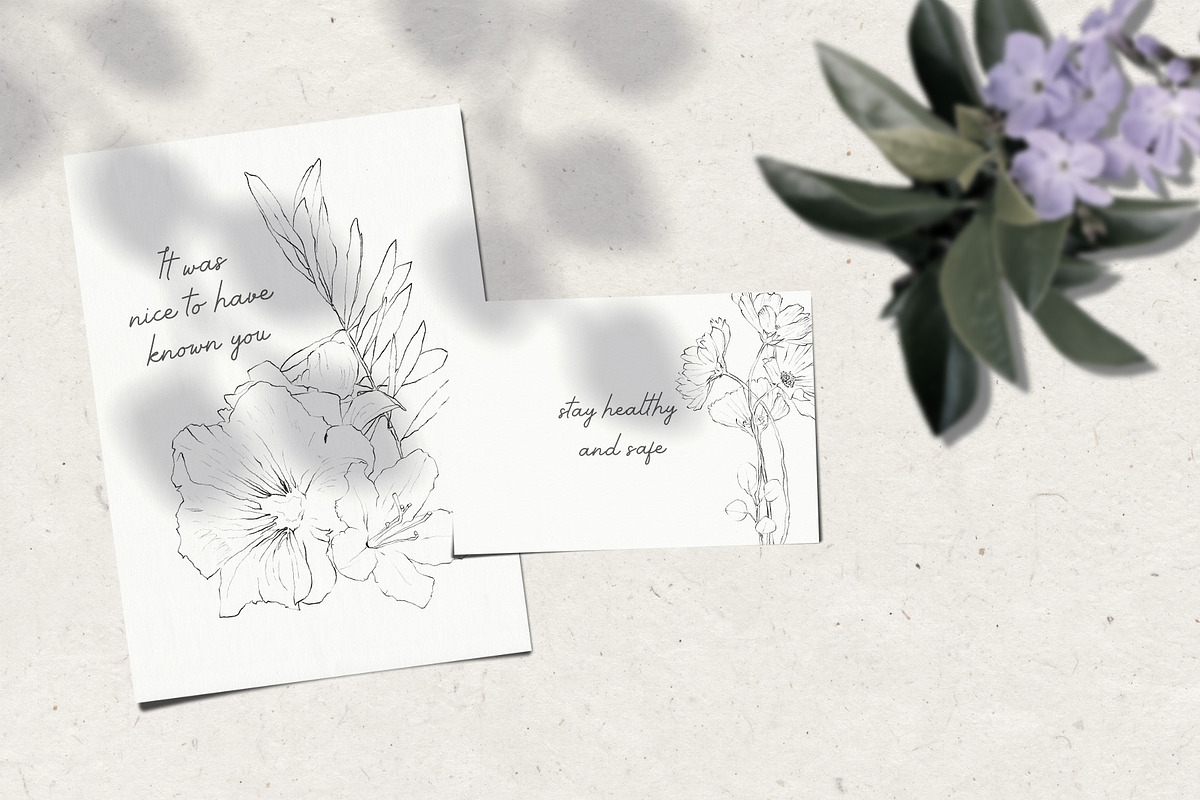 Pencil-drawn flowers, a Decorative Illustration by Damian Roh (Photo 9 of 21)