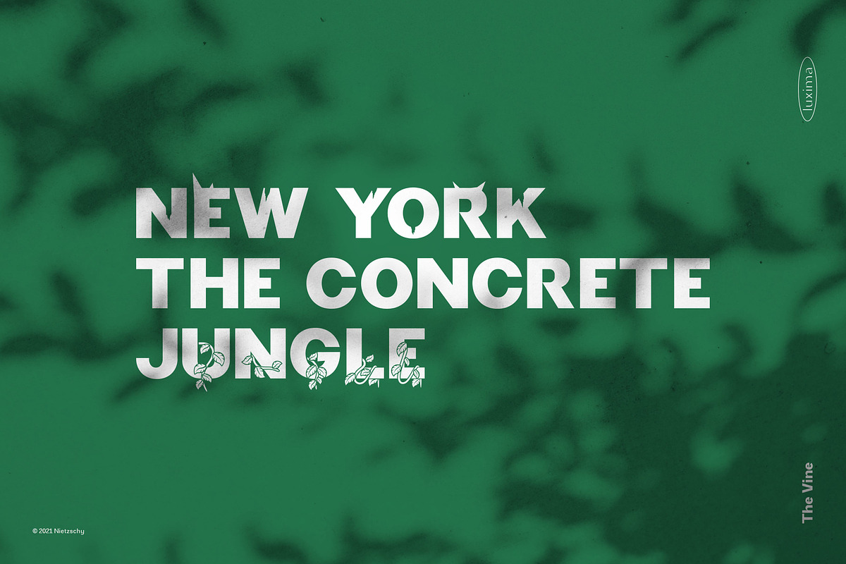 THE VINE DISPLAY FONT, a Sans Serif Font by Luxima (Photo 7 of 7)