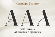 Moebngaders | A Modern Sans Serif, a Serif Font by Andrimada Creative (Thumbnail 12 of 12)