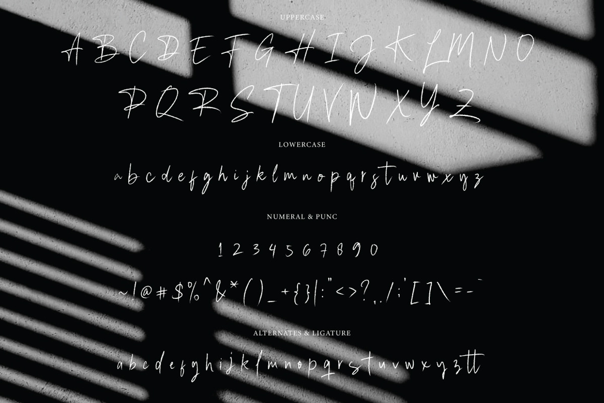 Lemigal - Signature Brush, a Handwritten Font by executypeStudio (Photo 6 of 6)
