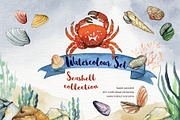 Beach Party Watercolor Set, a Texture Illustration by paperlions (Thumbnail 1 of 6)