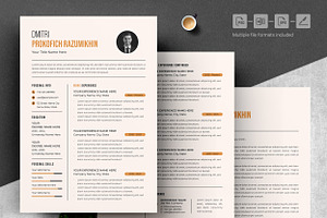 Minimalist Elegance Resume