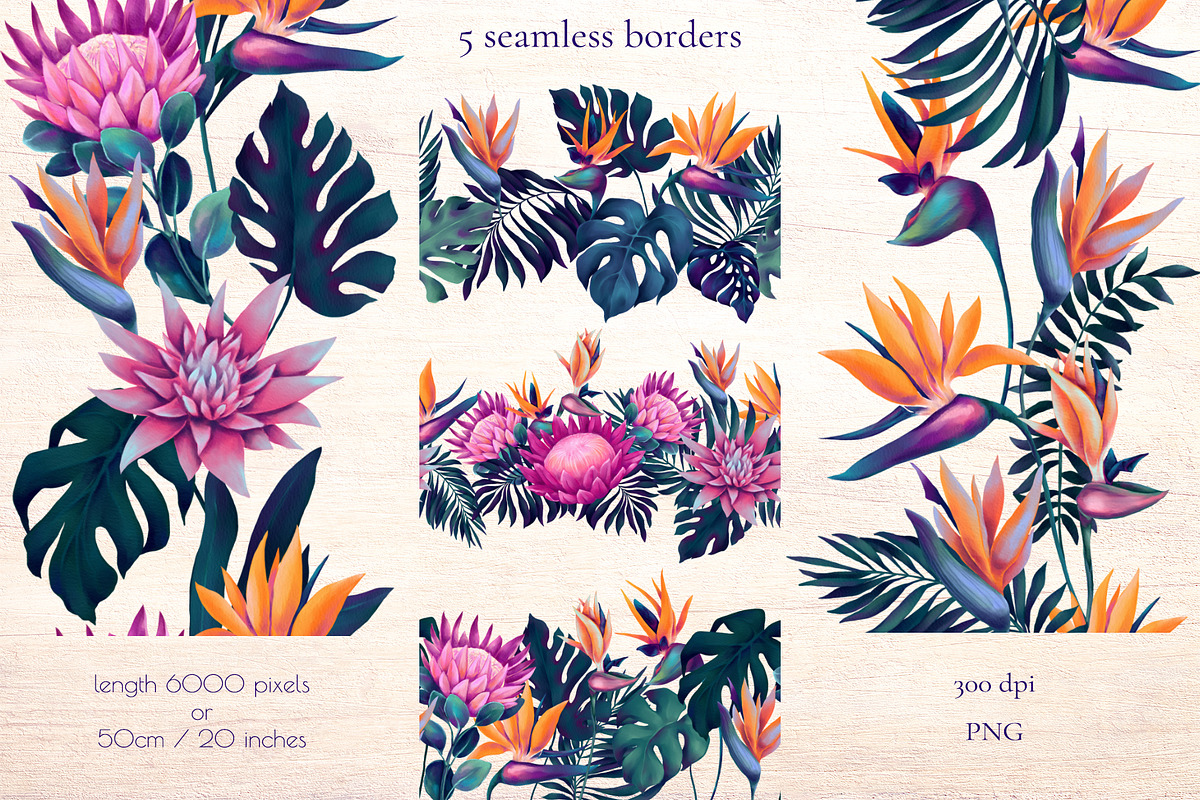 Monstera and Strelitzia watercolor, an Illustration by Salted Galaxy (Photo 11 of 15)
