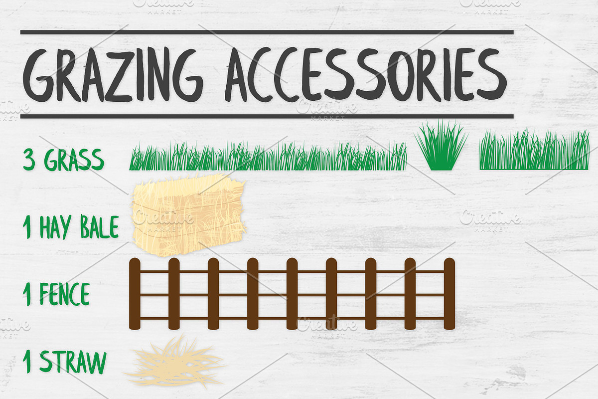 Alpaca Clipart and Accessories, an Animal Illustration by VizualStorm (Photo 2 of 3)