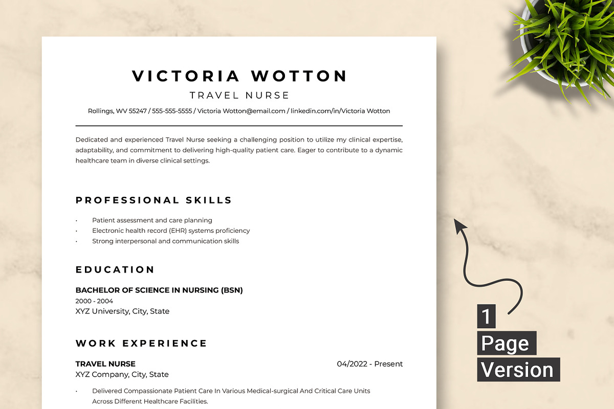 Travel Nurse Resume Template preview 2