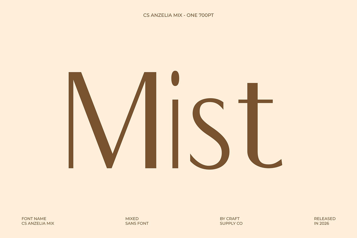 CS Anzelia Mix, a Sans Serif Font by Craft Supply Co. (Photo 2 of 8)