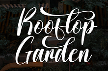 Rooftop Garden | Script Font