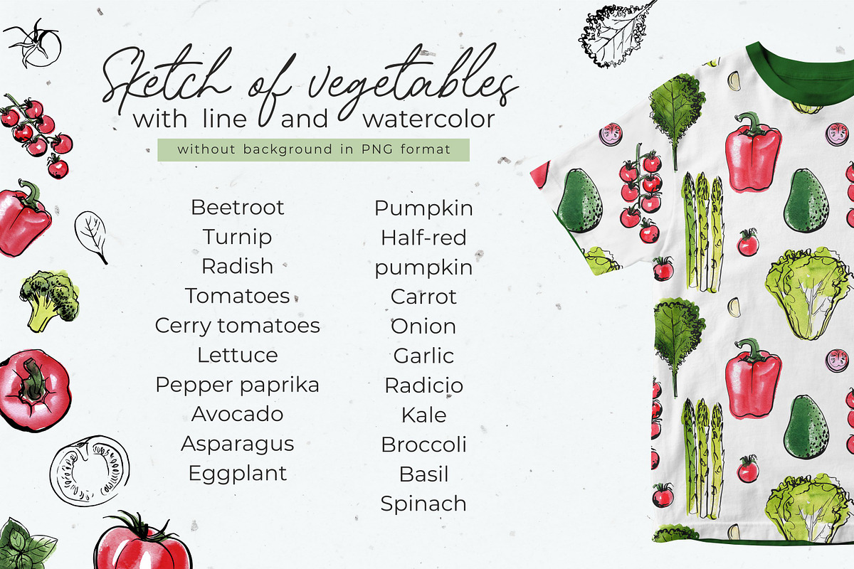 Vegetables vector sketch watercolor, a Food Illustration by irina.vaneeva (Photo 3 of 18)