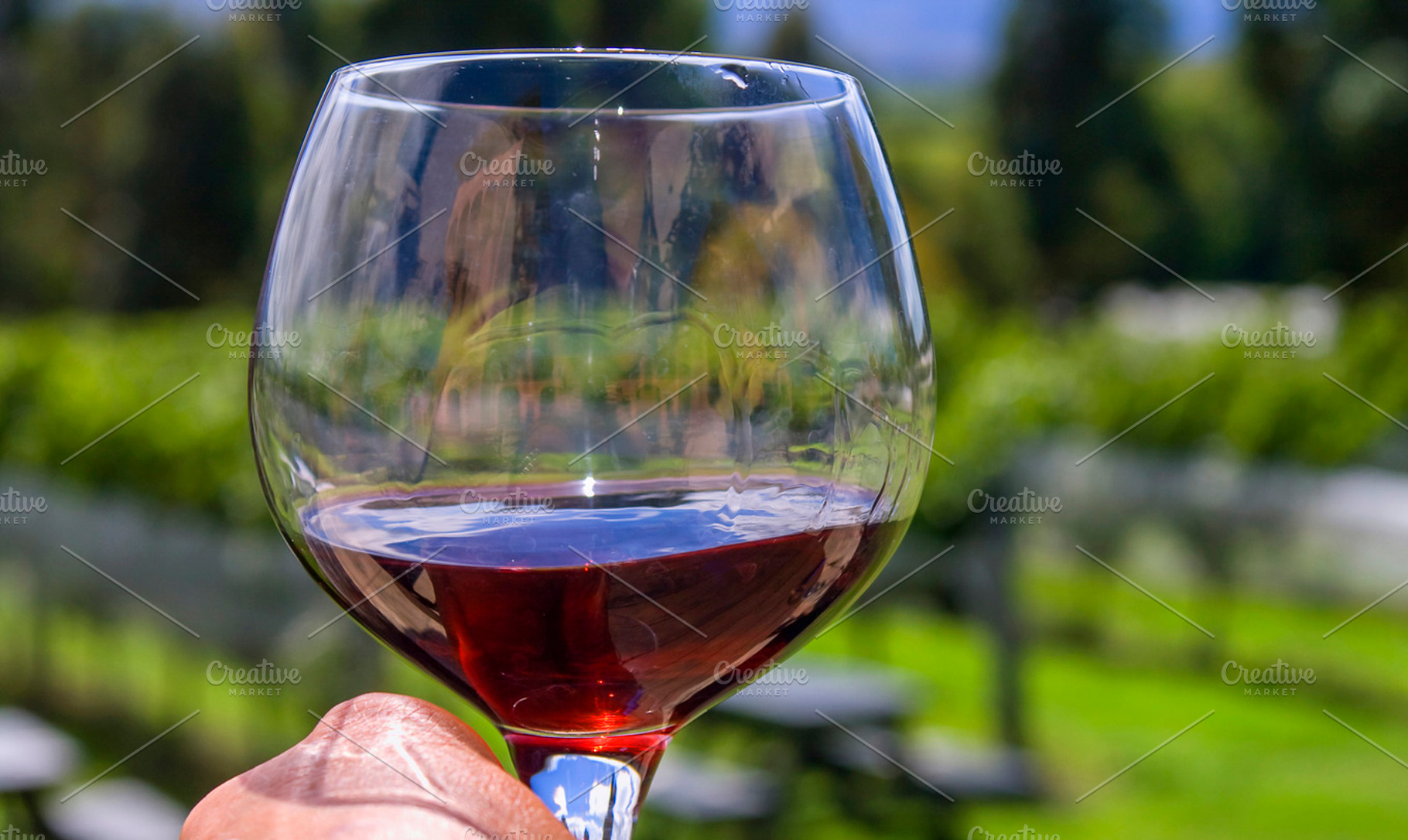 Glass With Red Wine In Vineyard Stock Photo Containing Red And Wine