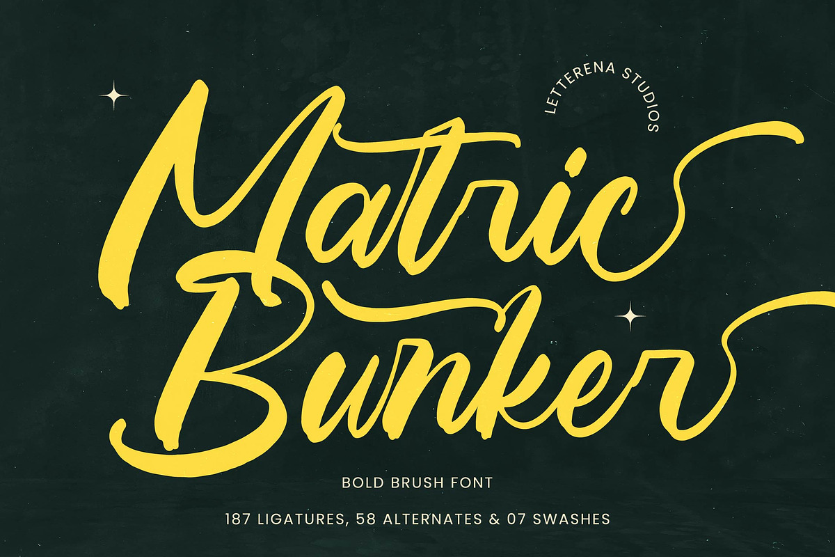 Matric Bunker Bold Brush Font, a Script Font by Letterena Studios Script (Photo 1 of 20)