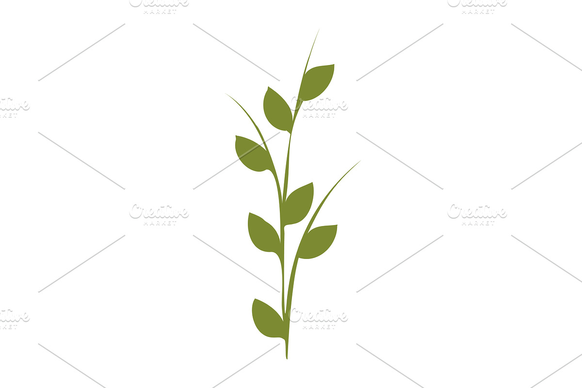 Stylized green plant stem with, an Object Illustration by okskukuruza