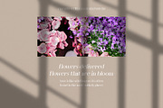 Letter Stylish Serif, a Serif Font by KennedyStudio (Thumbnail 4 of 10)