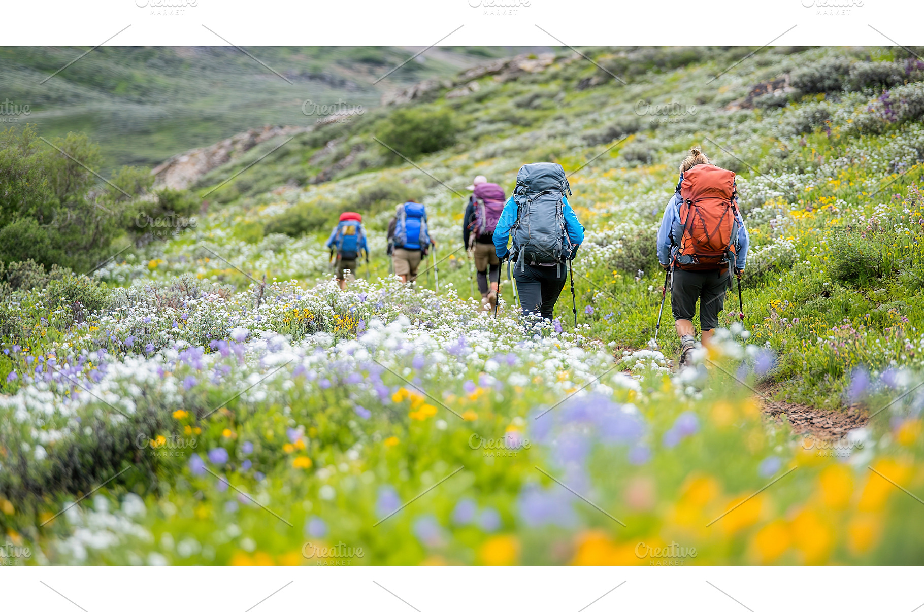 Group of People Hiking Through, a Nature Photo by Lermont51