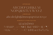 Amethys Mistralit Modern Display, a Serif Font by Letterena Studios (Thumbnail 13 of 15)