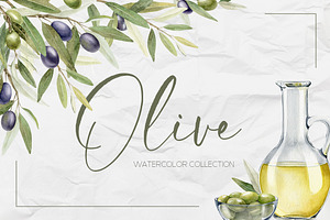 Olive Watercolor Illustrations