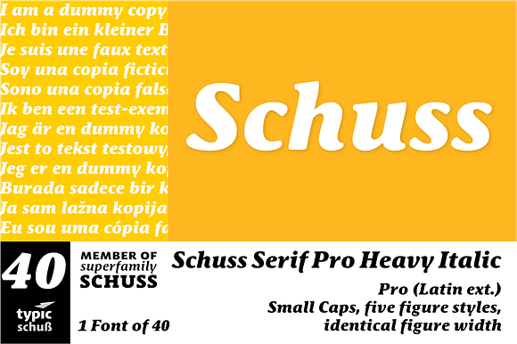SchussSerifProHeavIta No.40 (1 Font) preview 6