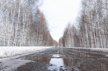 Road in Russia forest with covered s, a Nature Photo by AlexBush