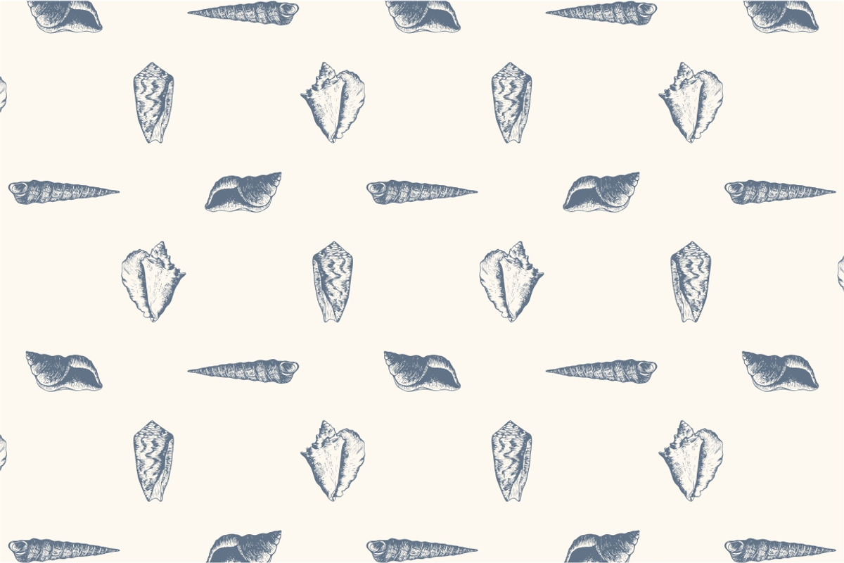 10 Hand Drawn Seashell + 5 Patterns, an Object Illustration by Storyteller Imagery (Photo 6 of 7)