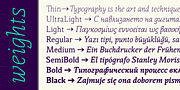 Thalweg, a Serif Font by Ani Dimitrova (Thumbnail 15 of 15)