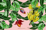 BANANA LEAVES AND BLOSSOM., an Illustration by FAZOSINNWORLD (Thumbnail 2 of 4)