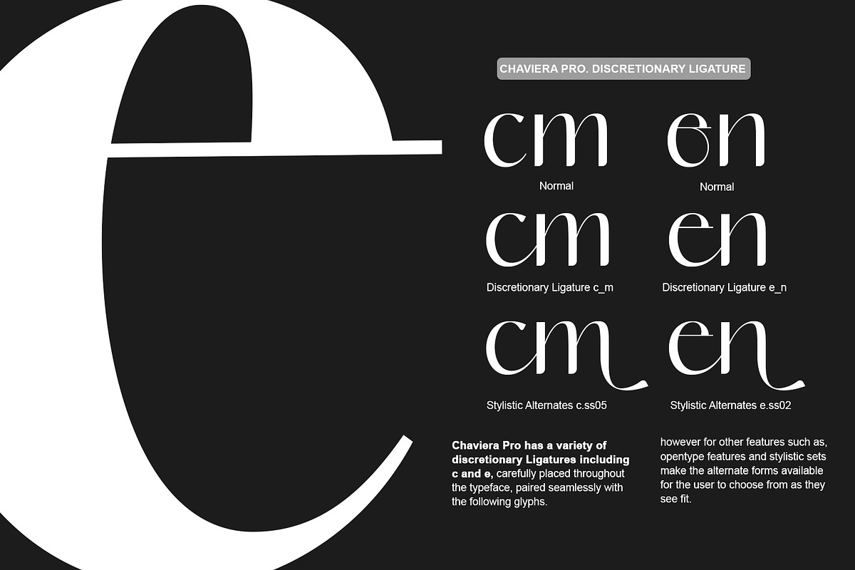 Chaviera Pro Family, a Sans Serif Font by INKSUN™ (Photo 5 of 12)