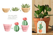 Watercolor Cactus, Succulent Clipart, an Object Illustration by ArtGiftsStudio (Thumbnail 3 of 4)