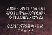 Bustro Brush Font, a Handwritten Font by Graphicxell (Thumbnail 5 of 6)
