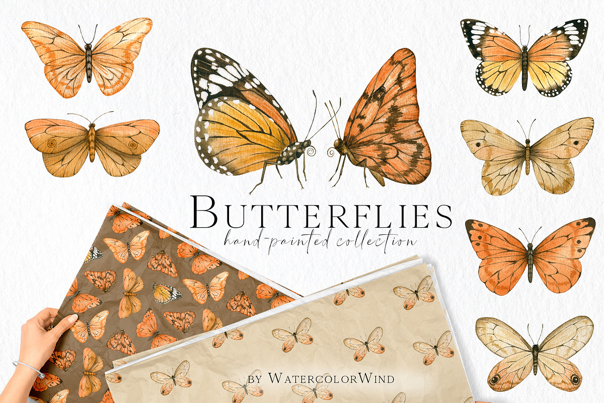 Watercolor Butterfly Clipart, an Illustration by Ksenia Shmakova (Photo 1 of 10)