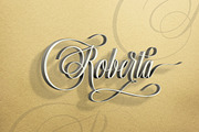 Murchison Script, a Script Font by Stripes Studio (Thumbnail 4 of 9)
