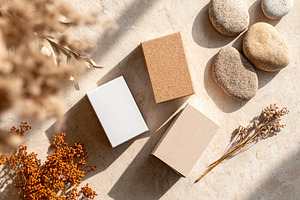 Arrangement of three differently sized boxes with decorative stones and dried f, a Photo by AlyaAnd