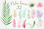 Palm leaves collection, a Decorative Illustration by IvanFet (Thumbnail 2 of 6)